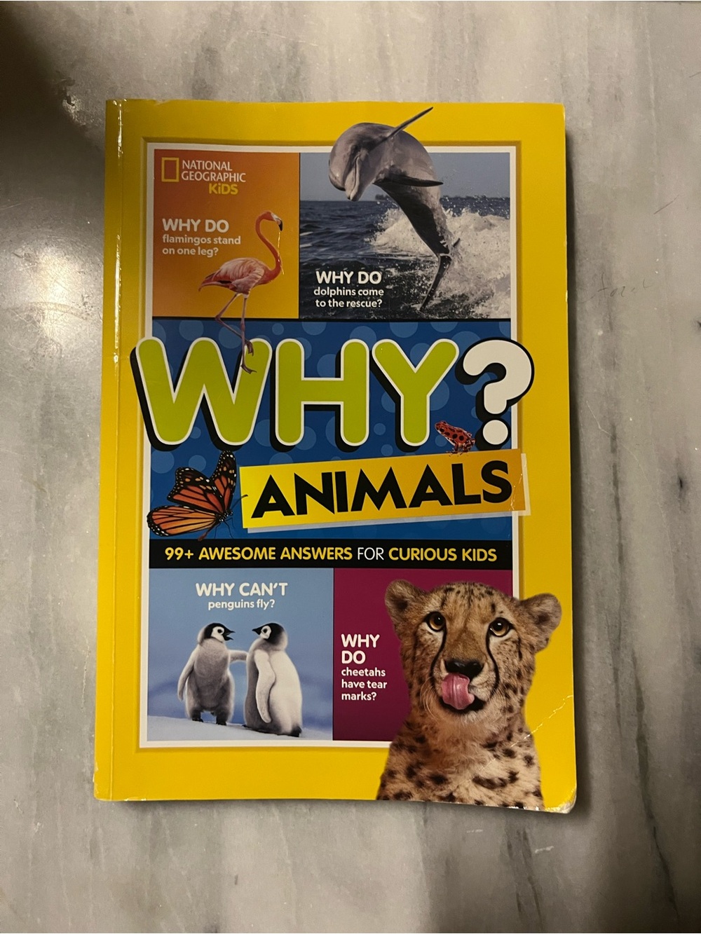National Geographic Kids Bright Yellow Animal Facts Book